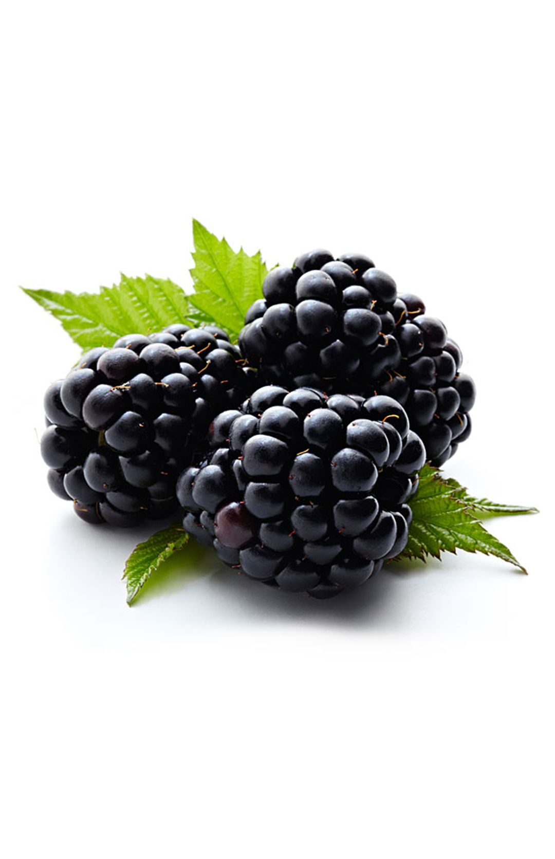 Blackberries
